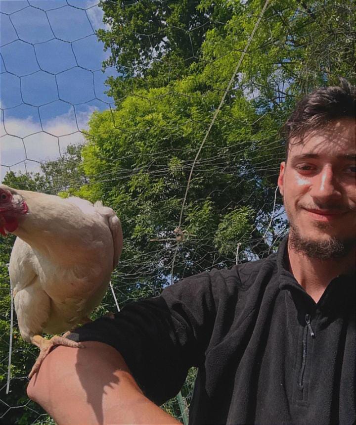 Allevamento e cura quotidiana